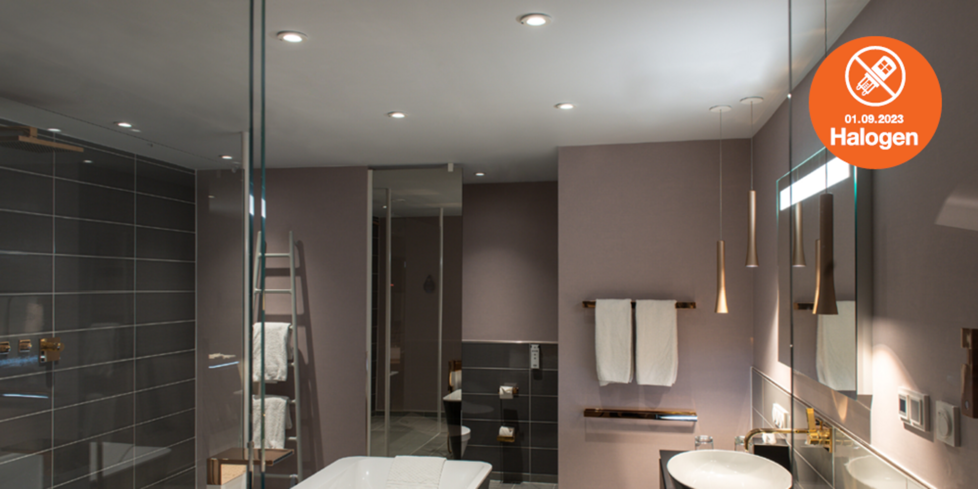 Lösungen zum Halogenlampen Verbot bei Rebele GmbH & Co. KG in Buchdorf